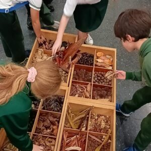 WhatsApp Image 2025-05-14 at 15.14.11