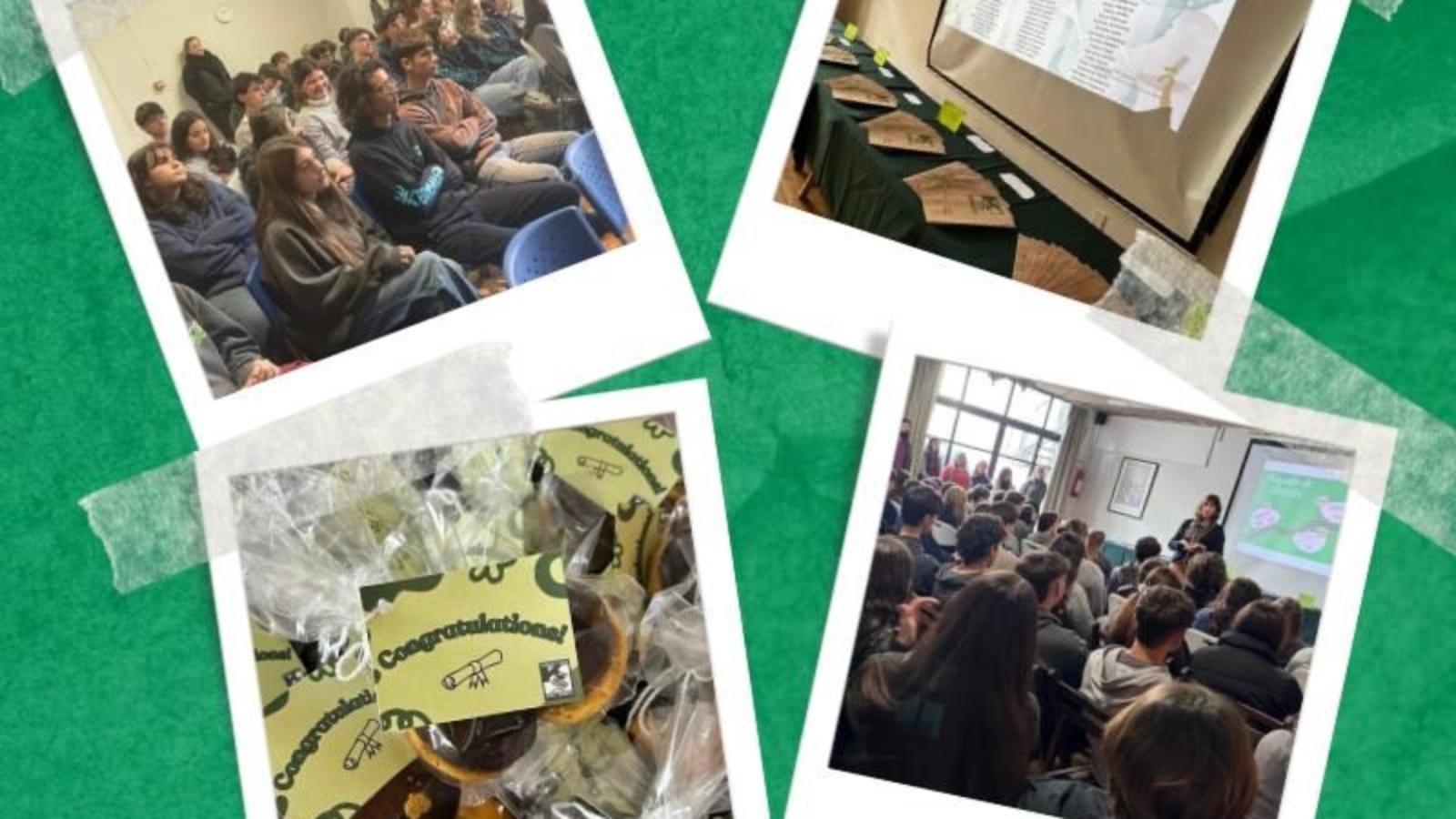 WhatsApp Image 2025-05-23 at 15.25.21