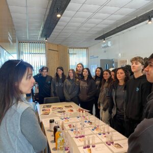 WhatsApp Image 2025-05-29 at 14.47.29 (2)