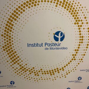 WhatsApp Image 2025-05-29 at 14.47.29