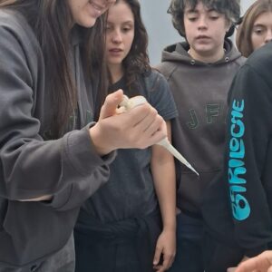 WhatsApp Image 2025-05-29 at 14.47.30 (1)