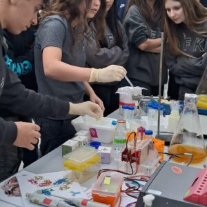 WhatsApp Image 2025-05-29 at 14.47.30 (2)