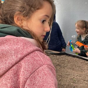 WhatsApp Image 2025-06-02 at 12.01.26 (1)