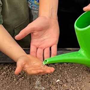 WhatsApp Image 2025-06-02 at 12.01.28