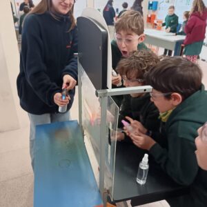 WhatsApp Image 2025-08-08 at 15.09.08 (1)