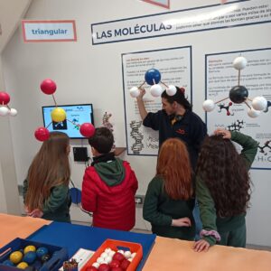 WhatsApp Image 2025-08-08 at 15.09.08