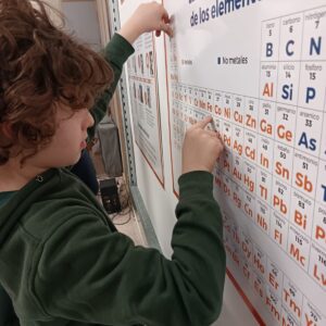 WhatsApp Image 2025-08-08 at 15.09.09