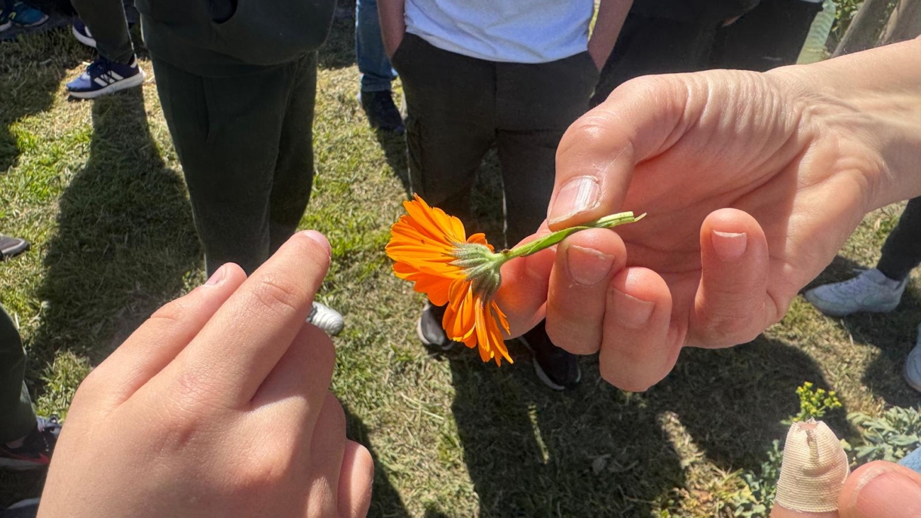 WhatsApp Image 2025-09-19 at 11.43.37