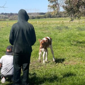 WhatsApp Image 2025-09-19 at 11.43.38