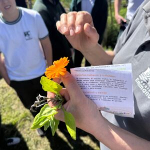 WhatsApp Image 2025-09-19 at 11.43.39 (1)