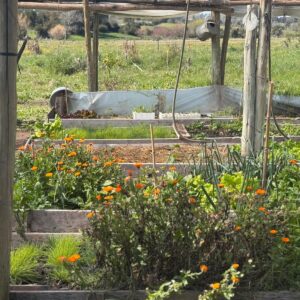 WhatsApp Image 2025-09-19 at 11.43.39 (2)