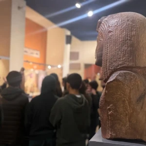 WhatsApp Image 2025-10-08 at 14.47.31