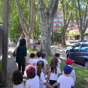 WhatsApp Image 2025-10-10 at 15.26.17