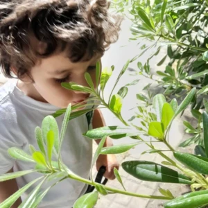 WhatsApp Image 2025-10-10 at 15.26.18 (1)