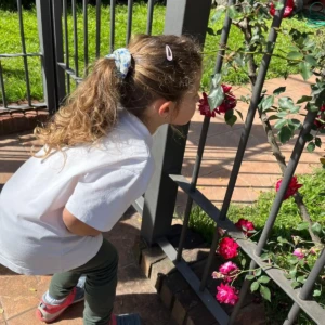 WhatsApp Image 2025-10-10 at 15.26.19 (2)