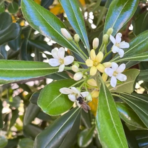 WhatsApp Image 2025-10-10 at 15.26.20 (1)