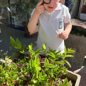 WhatsApp Image 2025-10-10 at 15.26.20