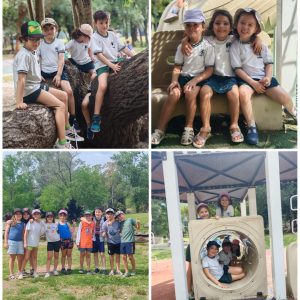 WhatsApp Image 2025-12-10 at 13.40.44