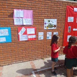 WhatsApp Image 2025-12-18 at 17.25.13 (1)