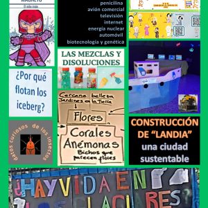 WhatsApp Image 2025-12-18 at 17.25.13 (2)